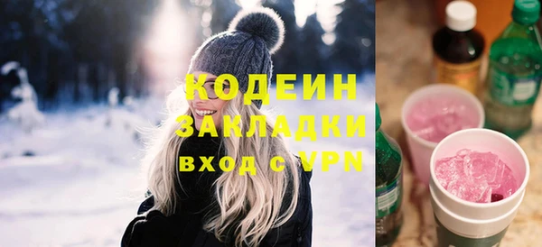 индика Алзамай