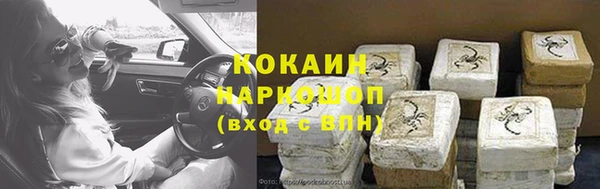 индика Алзамай