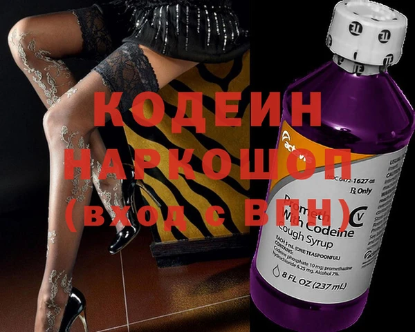 индика Алзамай