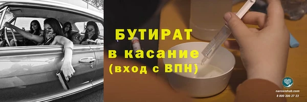 индика Алзамай