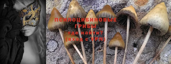 хмурый Алексеевка