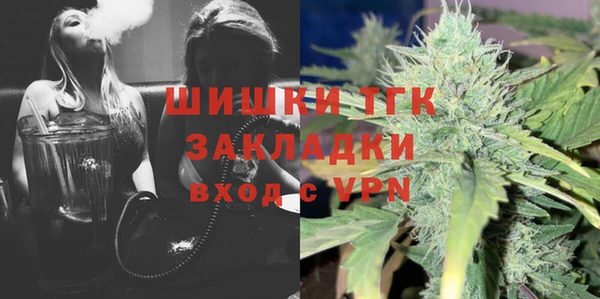 индика Алзамай