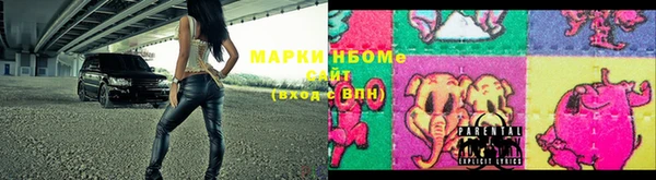 индика Алзамай